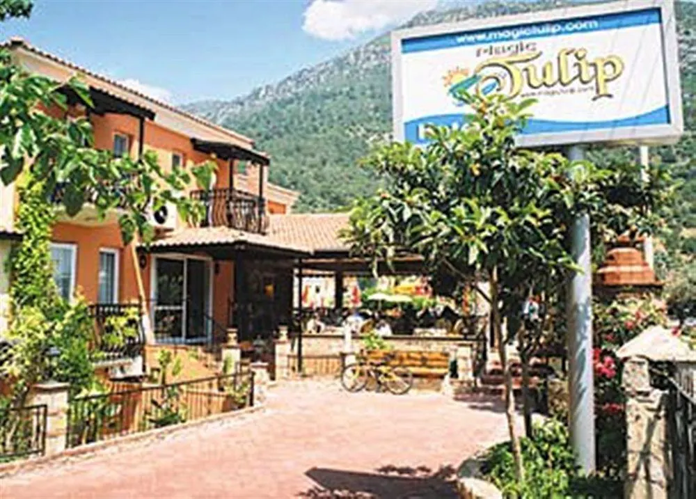Magic Tulip Beach Hotel Oludeniz 3*,  Turkey